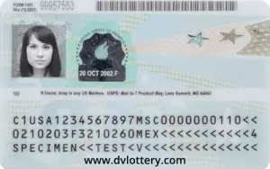 DVlottery Green Card back